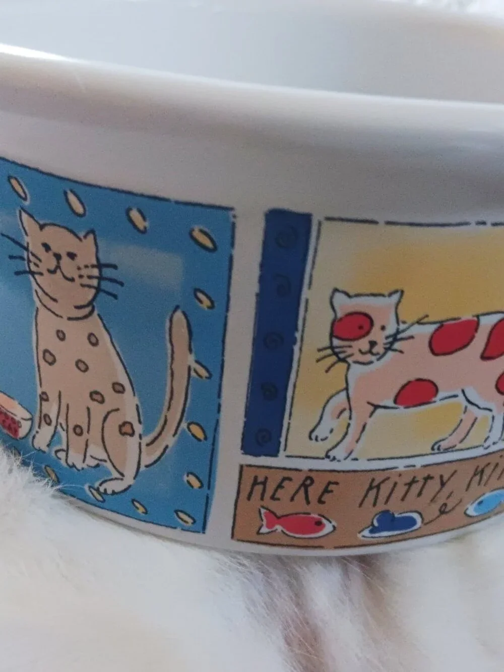 Here, Kitty Kitty! Colorful Stoneware Cat Dish
